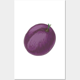 Plum Posters and Art